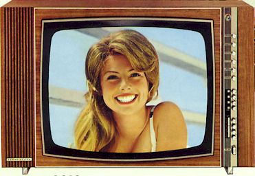 Loewe F900 PAL Farbfernseher