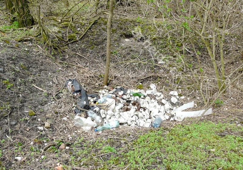 Alu Getränkedosen in der Natur