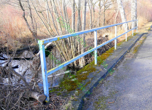 Es fand sich auch gleich das Moos, und auch die architektonisch imposant gestaltete (Orts-)Brunnenanlage war nicht weit davon entfernt.