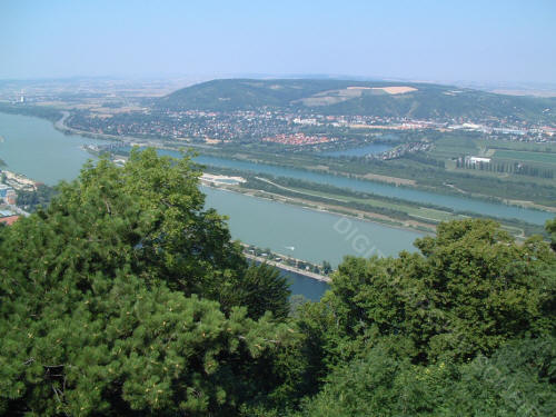 Leopoldsberg Blick auf die Donau