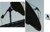 Triax_140cm Polarmount