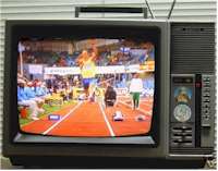 DDR Sanyo CTP4360 PALSecam GENEX Intershop Farbfernseher